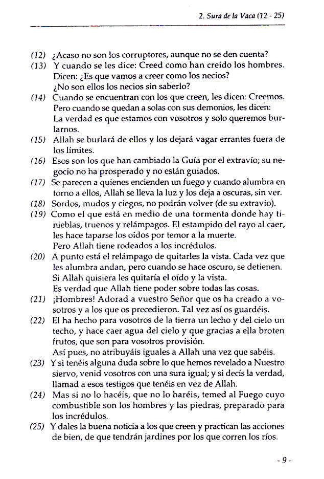 El Coran Traduccion Comentada (Spanish Only) image 4