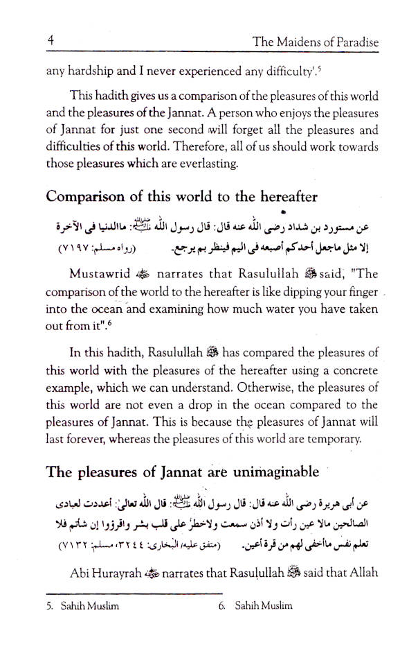 Maidens of Paradise image 4