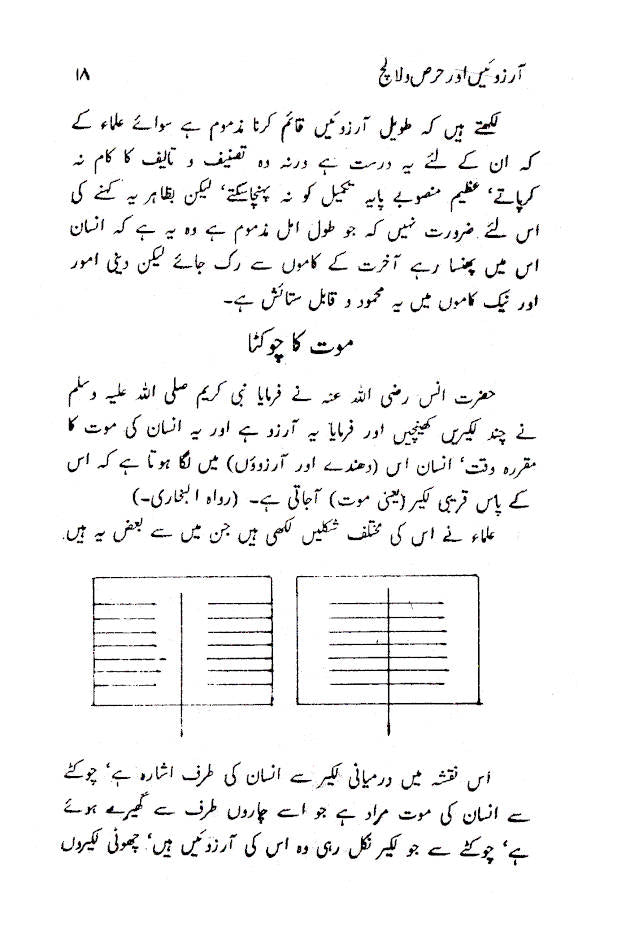 Aarzooein aur Hirs wa Lalach | Urdu image 3