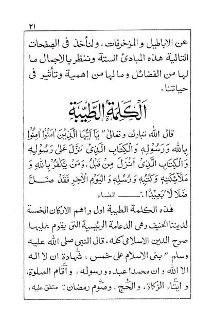 Ash Shaikh Muhammad Ilyas wa Dawatuhu Ad Diniyah – Arabic image 2