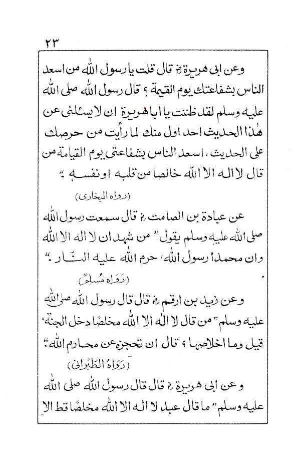 Ash Shaikh Muhammad Ilyas wa Dawatuhu Ad Diniyah – Arabic image 4