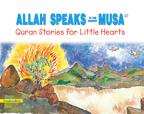 Allah Speaks to the Prophet Musa image