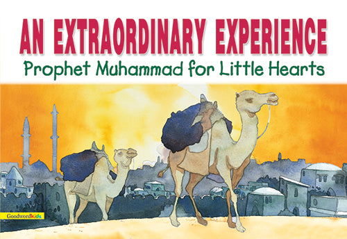 An Extraordinary Experience image