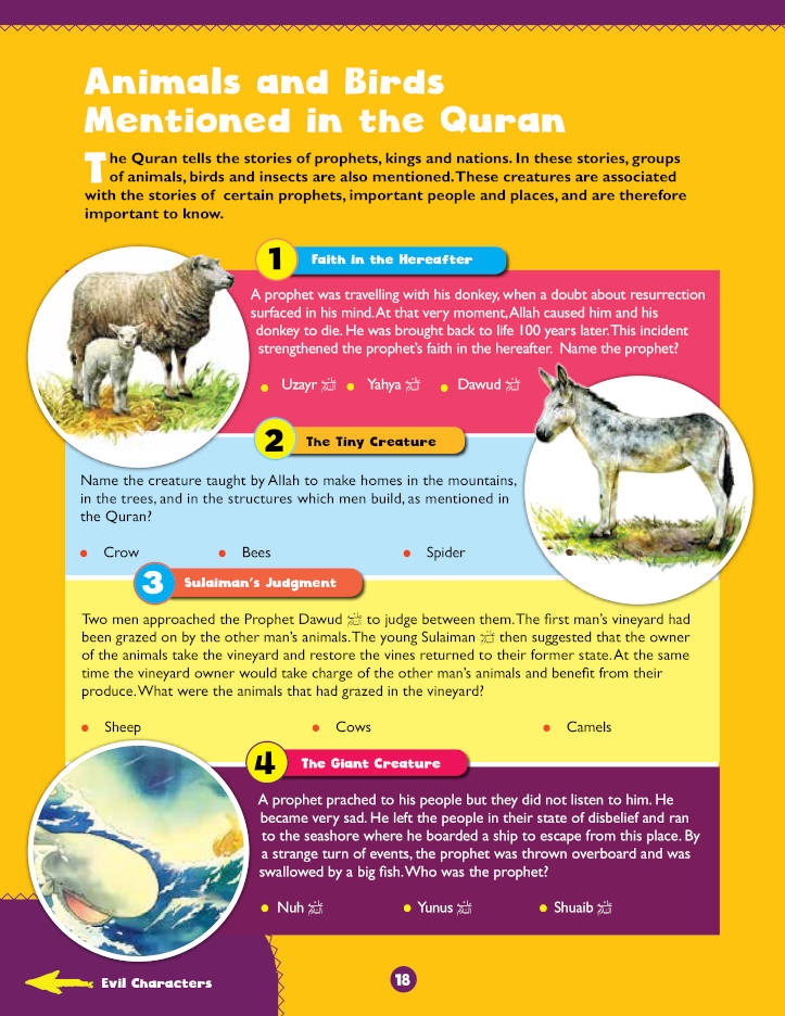 Awesome Quran Questions and Answers | Hardbound image 4