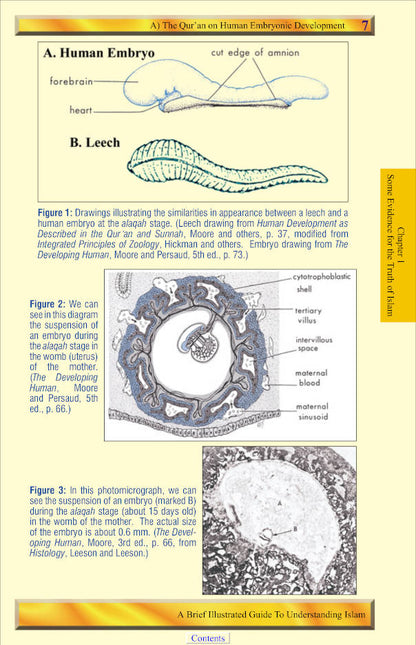 A Brief Illustrated Guide To Understanding Islam image 4