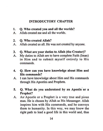 Elementary Teachings of Islam image 2