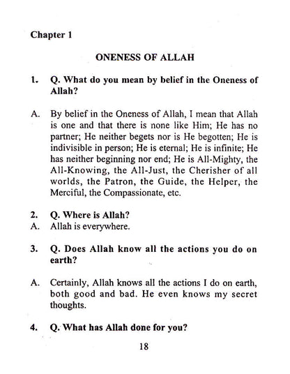 Elementary Teachings of Islam image 4
