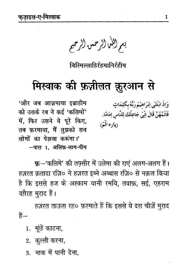 Fazail-E-Miswak | Hindi image 2