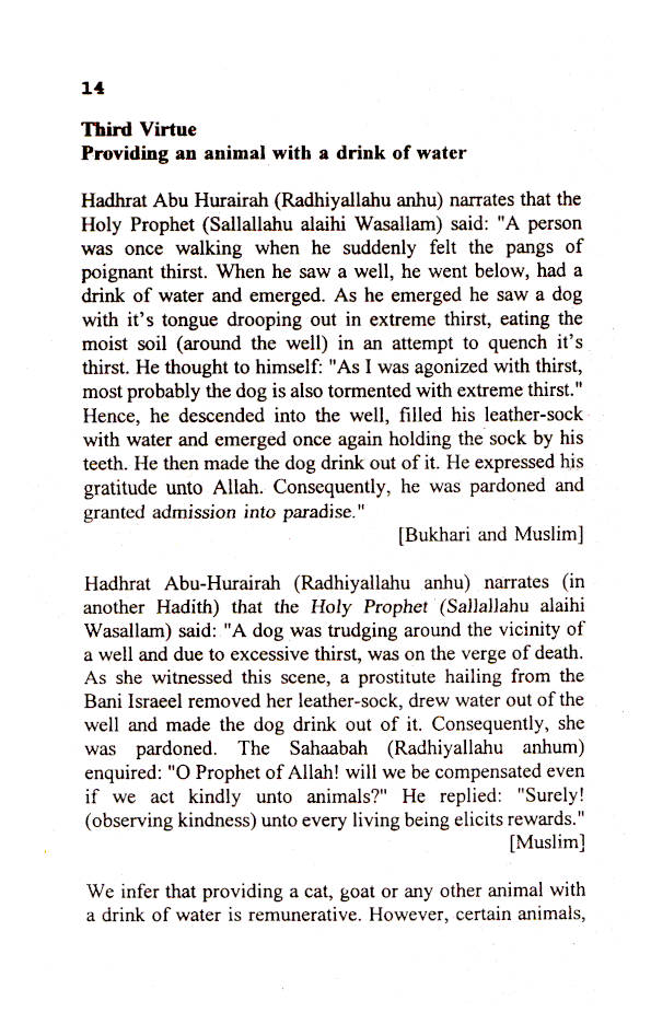 Forty Pathways to Jannah image 2