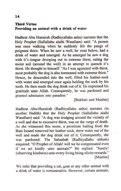 Forty Pathways to Jannah image 2
