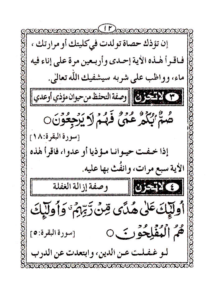 Hadaaiq-e-Zaat-e-Bahjah (Pocket) Arabic image 3