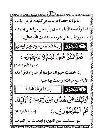 Hadaaiq-e-Zaat-e-Bahjah (Pocket) Arabic image 3