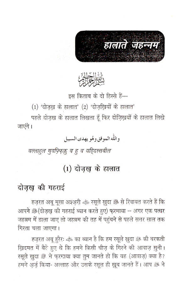 Halat-E-Jahannam | Hindi image 2