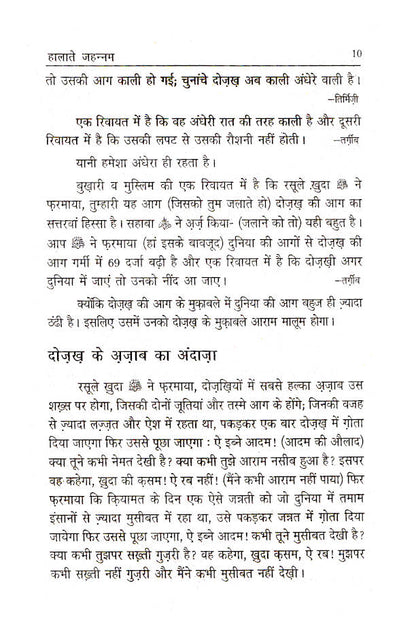 Halat-E-Jahannam | Hindi image 4