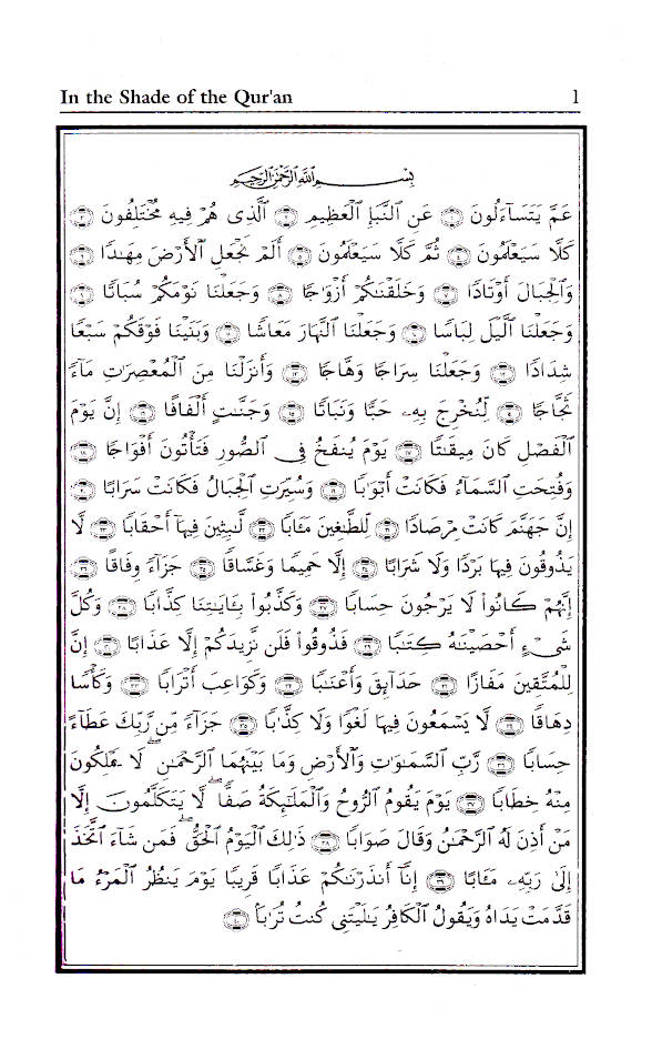In The Shade of The Holy Quran image 2