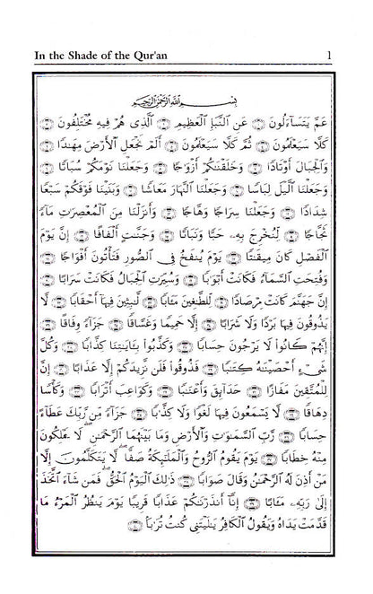 In The Shade of The Holy Quran image 2