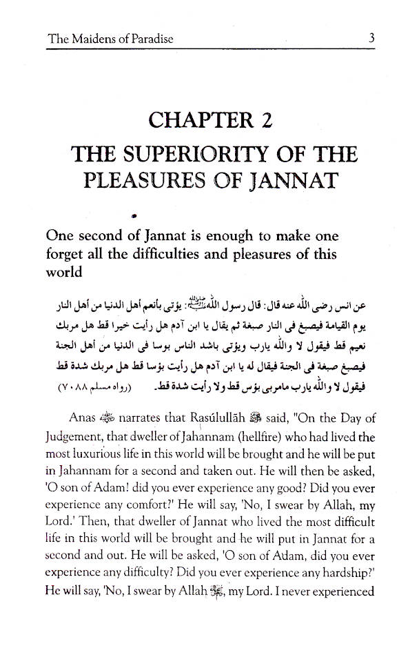 Maidens of Paradise image 3