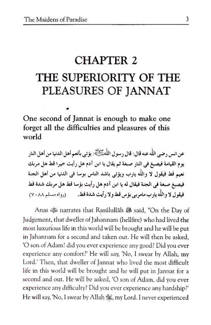 Maidens of Paradise image 3