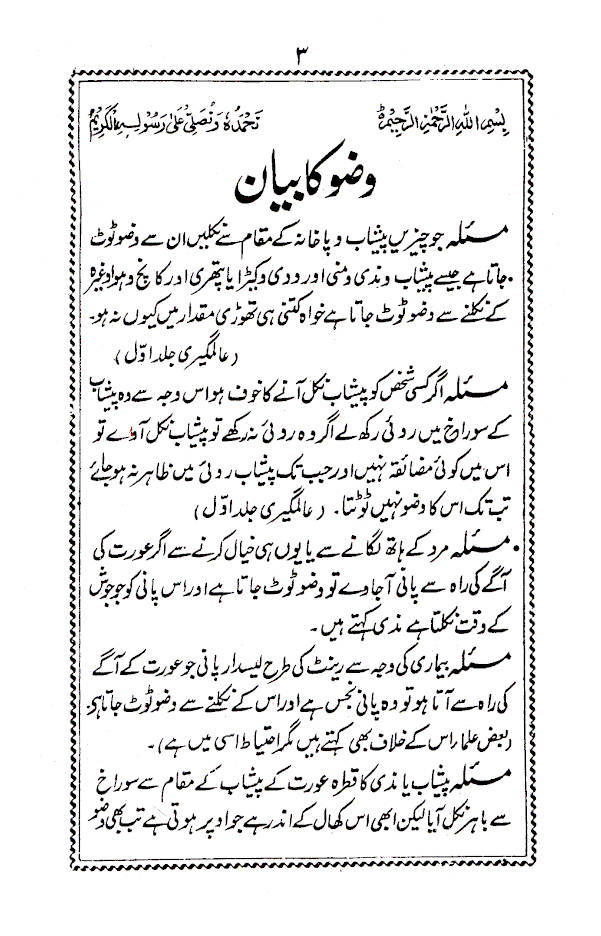 Mardon aur Aurton ke Makhsoos Masail | Urdu image 2