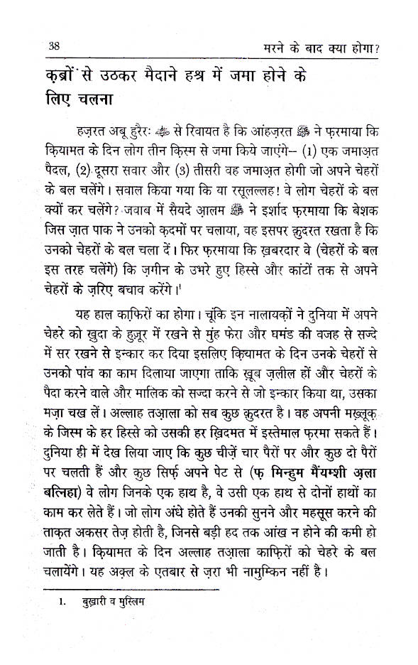 Marne Ke Baad Kiya Hoga? | Hindi image 4
