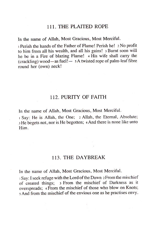 The Meaning of the Holy Quran : A Y Ali | English image 3