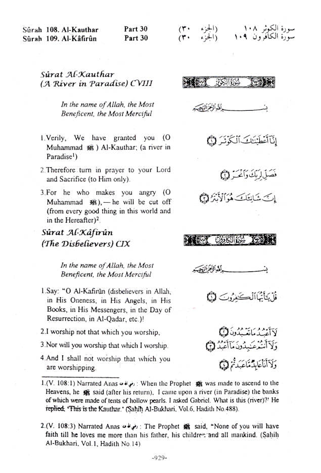 Interpretation of the Meaning of The Noble Quran image 4