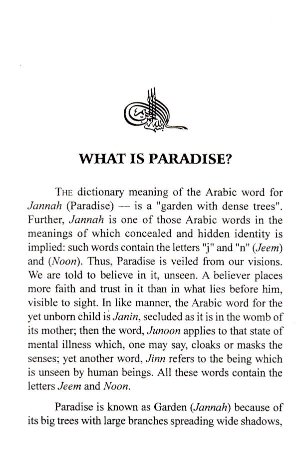 Paradise image 2