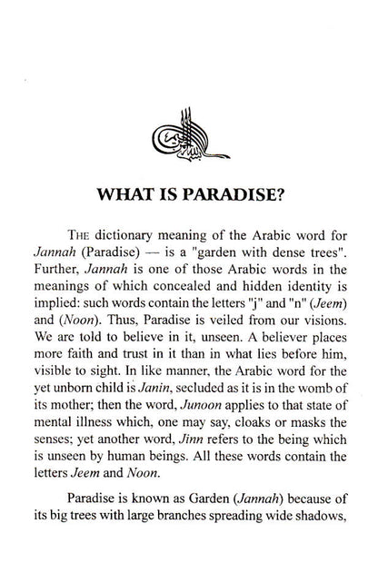 Paradise image 2