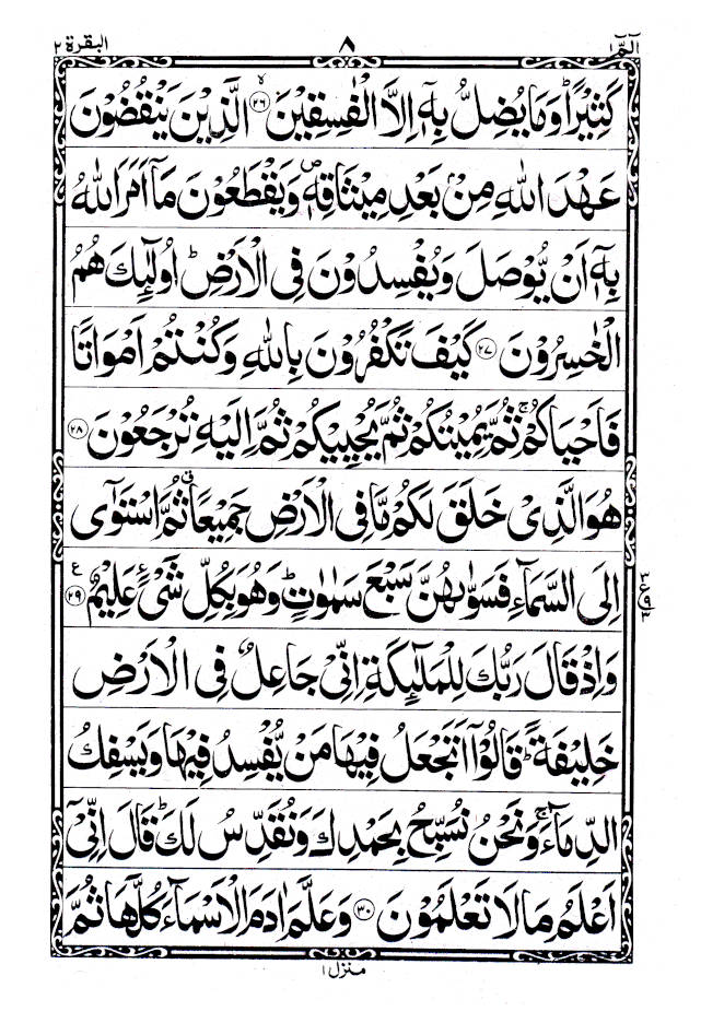Quran Ref. 1A Arabic Bold Letters (11 Lines per page) Size 25 x 18.5 cm image 3