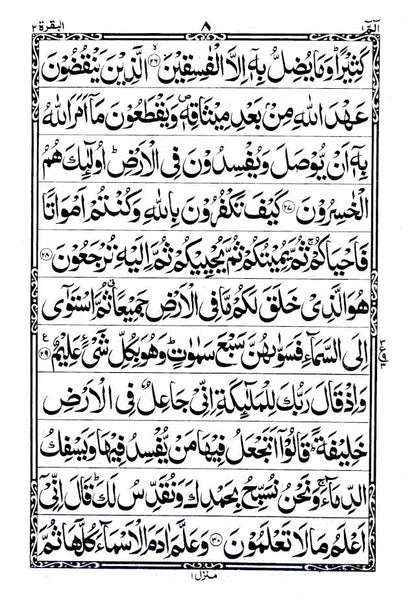 Quran Ref. 1A Arabic Bold Letters (11 Lines per page) Size 25 x 18.5 cm image 3