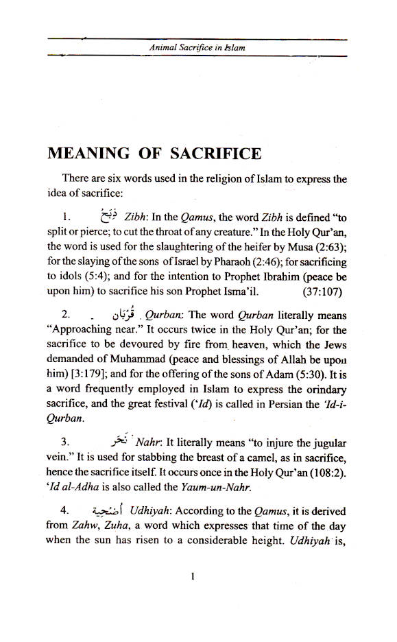 The Ritual of Animals Sacrifice in Islam image 2