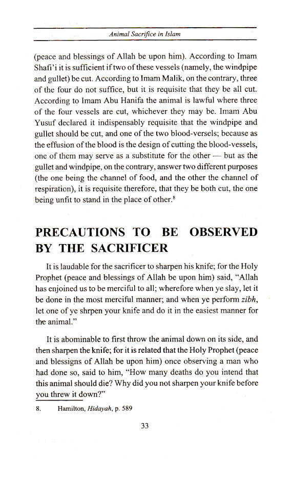 The Ritual of Animals Sacrifice in Islam image 4