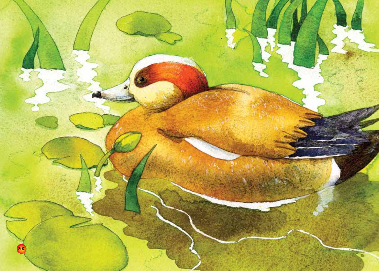 Rivers of Milk and Honey image 3