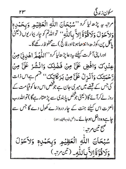 Sukoon-e-Zindagi Pocket – URDU image 3