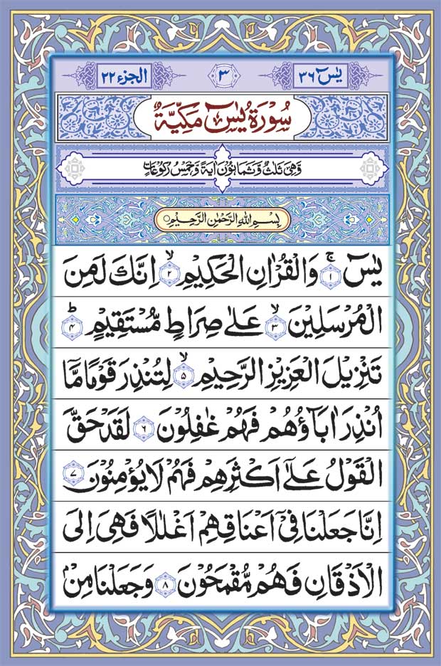 41 Surah Yaseen in a Purse/Case | Arabic only, Multi Colour BIG 17.5 x 11.5 cms image 3