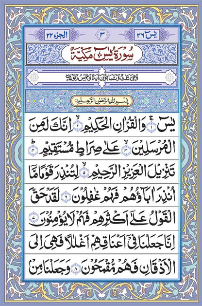 41 Surah Yaseen in a Purse/Case | Arabic only, Multi Colour BIG 17.5 x 11.5 cms image 3