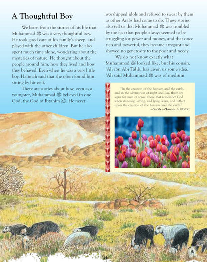 Tell Me About the Prophet Muhammad | Hardbound image 2