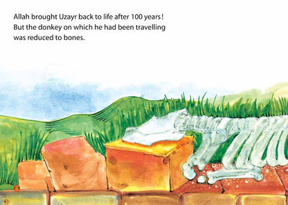 The Uzayr’s Donkey image 2
