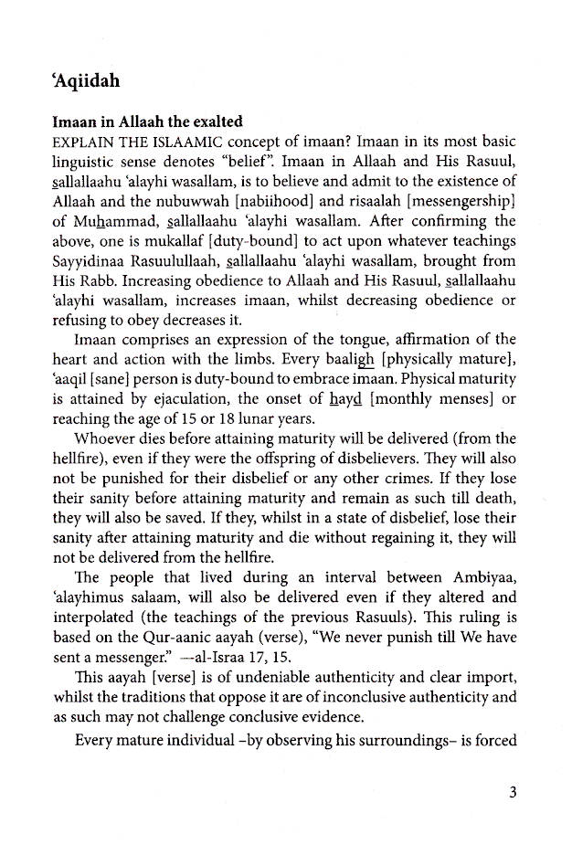 The True Muslim image 2