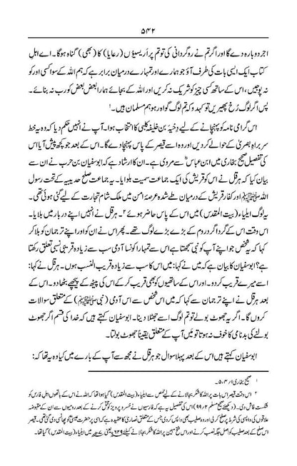 Ar-Raheeq Al-Makhtum Urdu – Seerate Nabavi Hazrat Muhammed (SaW) image 4