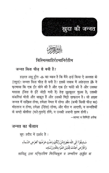 Khuda Ki Jannat | Hindi image 2