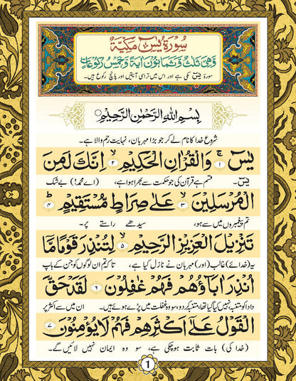 Surah Yaseen (Arabic-Urdu) Pocket image 2