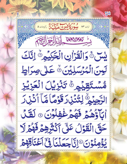 Surah Yaseen (Arabic Only) Large | Coloured Pages 9 Lines image 2