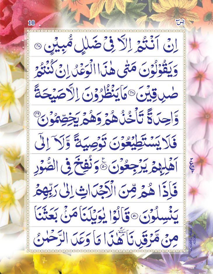 Surah Yaseen (Arabic Only) Large | Coloured Pages 9 Lines image 3