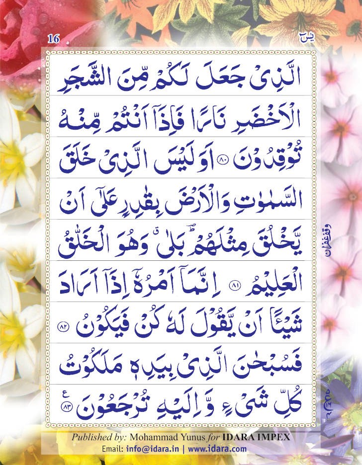 Surah Yaseen (Arabic Only) Large | Coloured Pages 9 Lines image 4