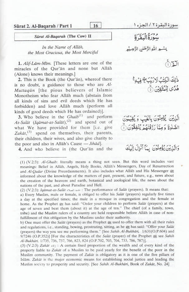Interpretation of the Meanings of the Noble Quran Summarized | English (HB) image 2
