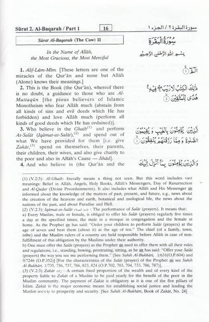 Interpretation of the Meanings of the Noble Quran Summarized | English (HB) image 2