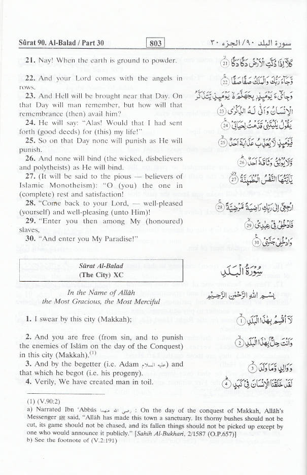 Interpretation of the Meanings of the Noble Quran Summarized | English (HB) image 3