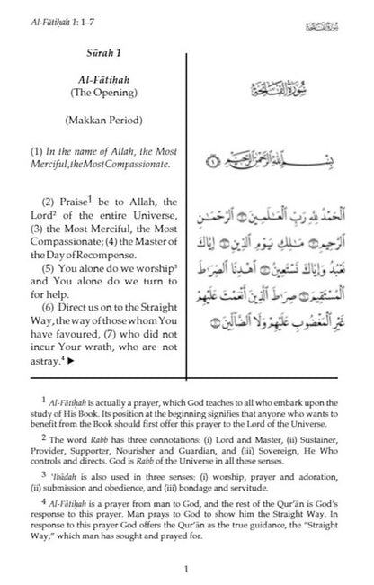 Towards Understanding the Quran | Abridged version of Tafhim al-Quran (HB) image 2