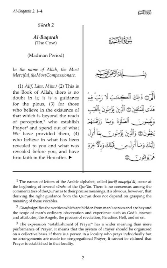 Towards Understanding the Quran | Abridged version of Tafhim al-Quran (HB) image 3